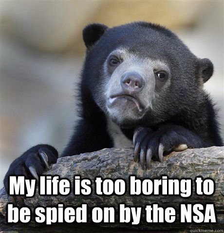  My life is too boring to be spied on by the NSA  Confession Bear