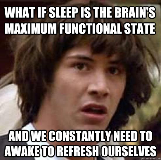 What if sleep is the brain's  maximum functional state and we constantly need to awake to refresh ourselves   conspiracy keanu