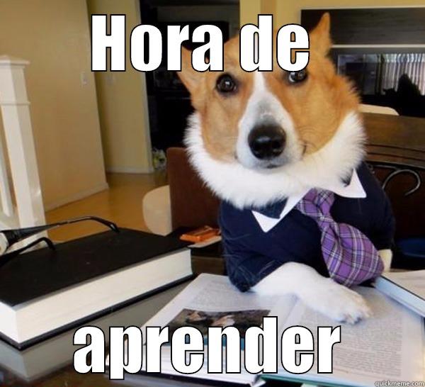 HORA DE  APRENDER Lawyer Dog