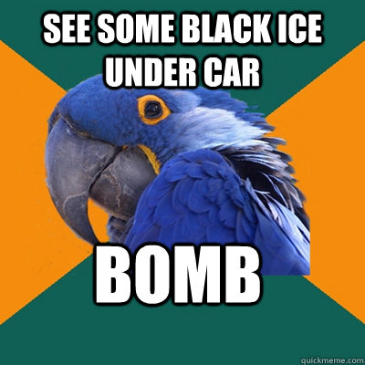 See some black ice under car bomb  Paranoid Parrot