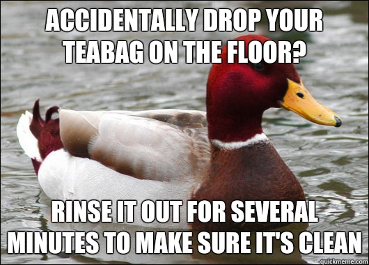 Accidentally drop your teabag on the floor? Rinse it out for several minutes to make sure it's clean  Malicious Advice Mallard