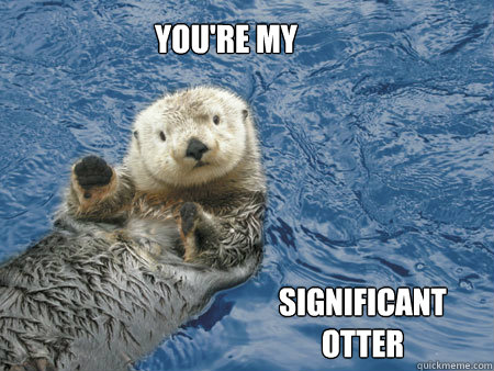 you're my  significant otter  