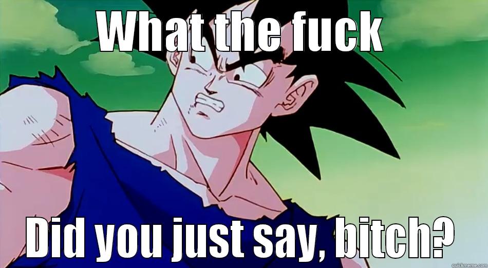 WHAT THE FUCK DID YOU JUST SAY, BITCH? Misc