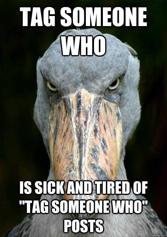 Tag someone who is sick and tired of 