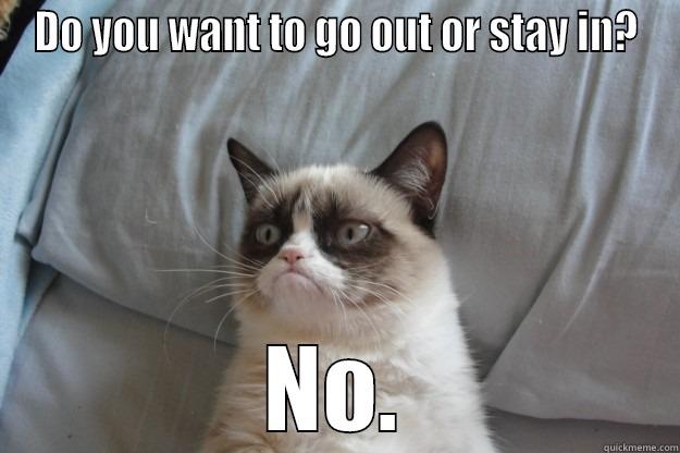 DO YOU WANT TO GO OUT OR STAY IN? NO. Grumpy Cat
