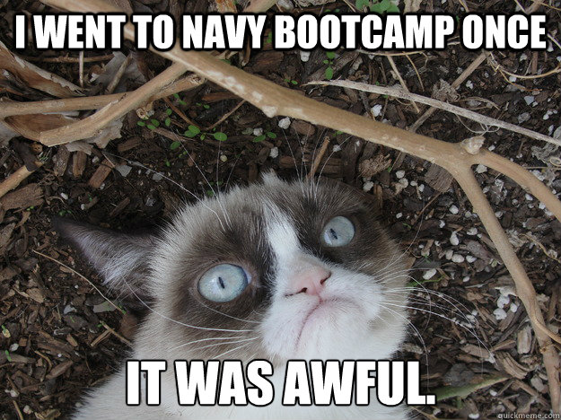I went to navy bootcamp once it was awful. - I went to navy bootcamp once it was awful.  Stressed Grumpy Cat
