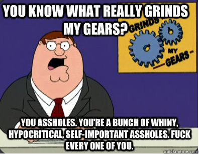 you know what really grinds my gears? You assholes. You're a bunch of whiny, hypocritical, self-important assholes. Fuck every one of you.  Grinds my gears
