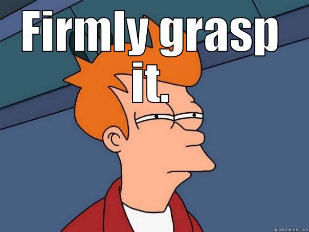 FIRMLY GRASP IT.  Futurama Fry