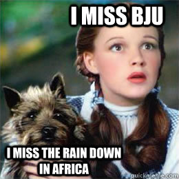 I miss BJU I miss the rain down in Africa - I miss BJU I miss the rain down in Africa  Toto song dog