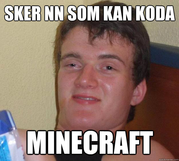 söker nån som kan koda minecraft - söker nån som kan koda minecraft  10 Guy