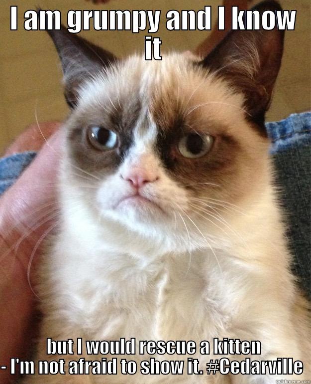 Grumpy cat has a message for Cedarville University. - I AM GRUMPY AND I KNOW IT BUT I WOULD RESCUE A KITTEN - I'M NOT AFRAID TO SHOW IT. #CEDARVILLE  Grump Cat