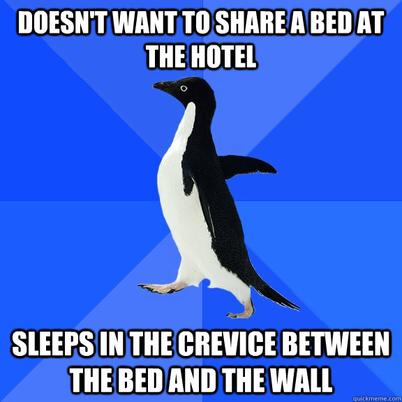 DOESN'T WANT TO SHARE A BED AT THE HOTEL SLEEPS IN THE CREVICE BETWEEN THE BED AND THE WALL  Socially Awkward Penguin