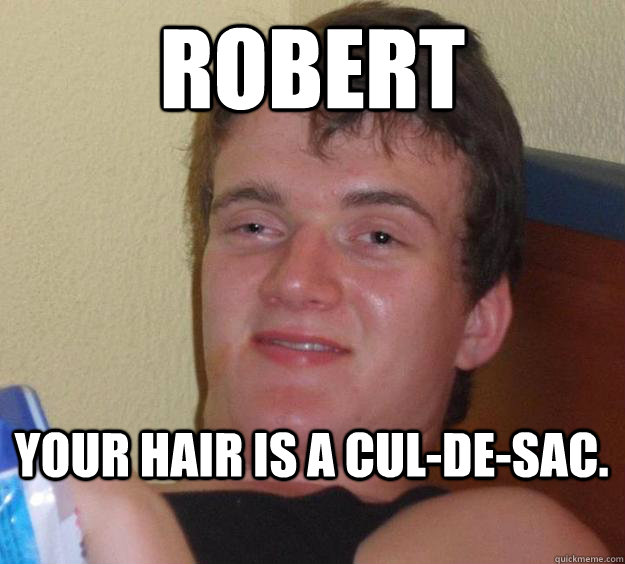 Robert Your hair is a cul-de-sac.  10 Guy