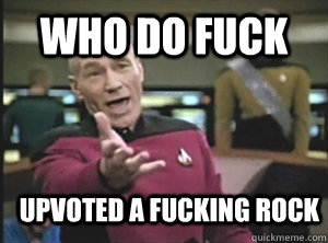Who do fuck upvoted a fucking rock  Annoyed Picard