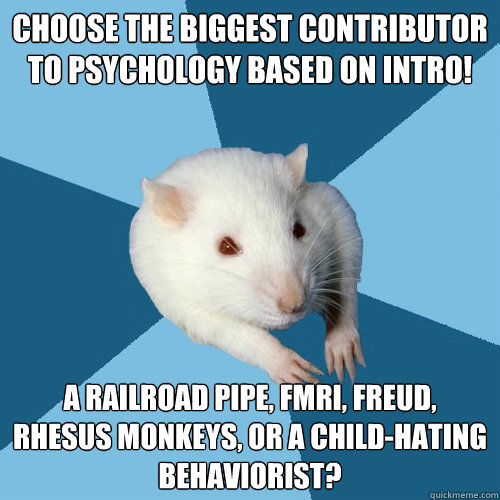 Choose the biggest contributor to Psychology based on Intro! a railroad pipe, fMRI, Freud, rhesus monkeys, or a child-hating Behaviorist?  Psychology Major Rat