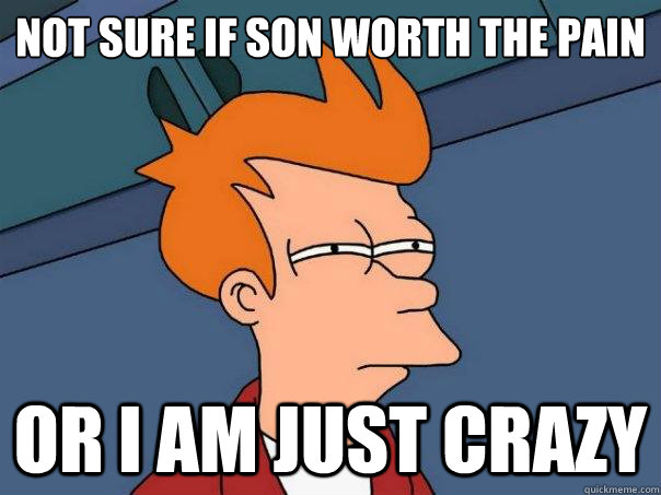 Not sure if son worth the pain Or i am just crazy - Not sure if son worth the pain Or i am just crazy  Futurama Fry