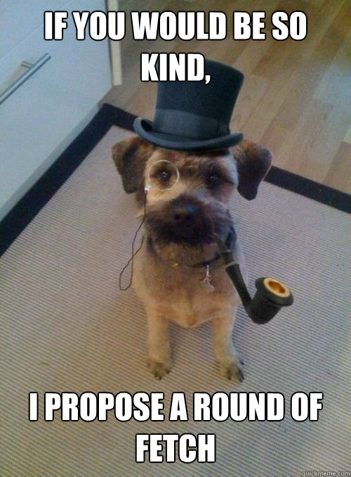 If you would be so kind, I propose a round of fetch  Gentleman Dog