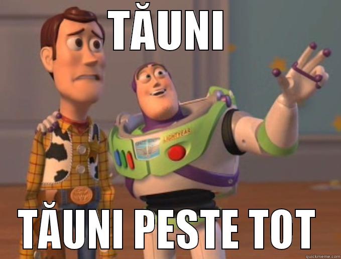 TĂUNI TĂUNI PESTE TOT Misc