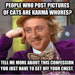 people who post pictures of cats are karma whores? Tell me more about this confession you just have to get off your chest.  Condescending Wonka