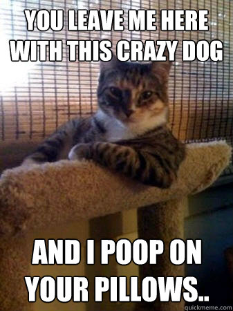 You leave me here with this crazy dog and I poop on your pillows..  The Most Interesting Cat in the World