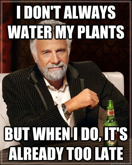 I don't always water my plants But when I do, it's already too late  The Worlds Most Interesting Man
