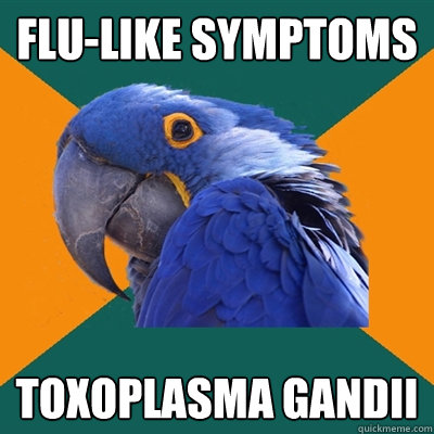 Flu-like symptoms toxoplasma gandii  Paranoid Parrot