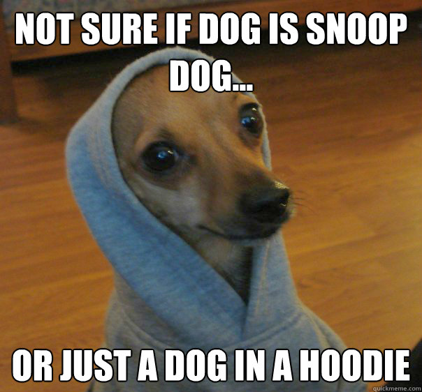 Not sure if dog is snoop dog... or just a dog in a hoodie  