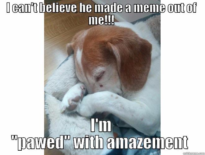 I CAN'T BELIEVE HE MADE A MEME OUT OF ME!!! I'M 