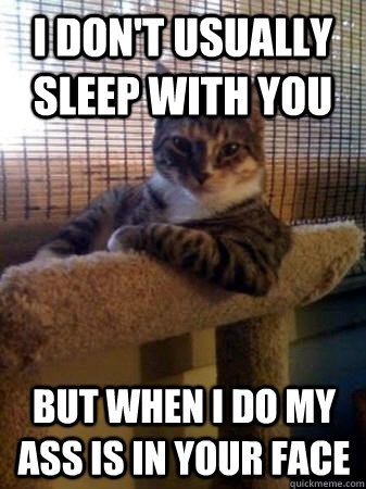 I don't usually sleep with you but when I do my ass is in your face  The Most Interesting Cat in the World