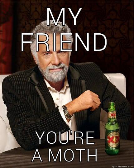 MY FRIEND YOU'RE A MOTH The Most Interesting Man In The World