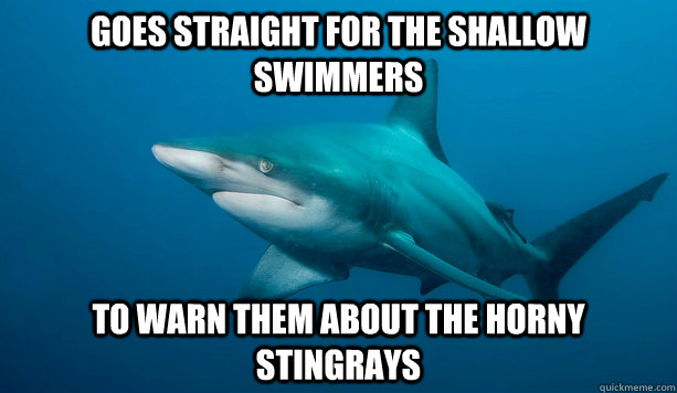 Goes straight for the shallow swimmers to warn them about the horny stingrays - Goes straight for the shallow swimmers to warn them about the horny stingrays  Misc