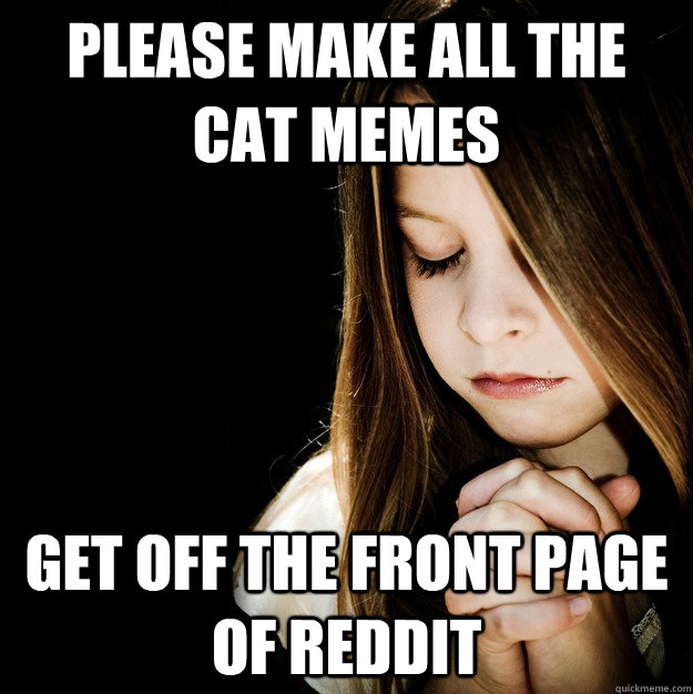 Please make all the cat memes get off the front page of reddit - Please make all the cat memes get off the front page of reddit  Prayer Girl Patty