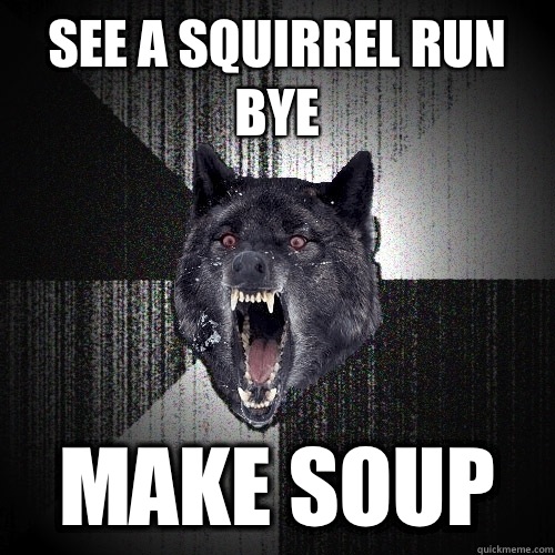 See a squirrel run bye MAKE SOUP  Insanity Wolf