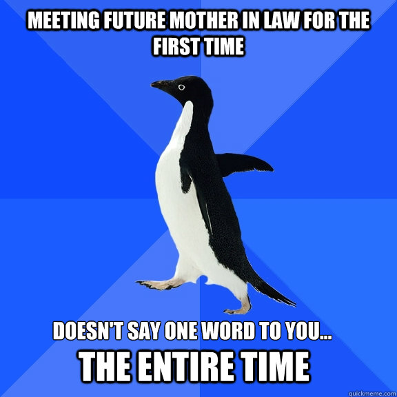 Meeting future mother in law for the first time Doesn't say one word to you... the entire time   Socially Awkward Penguin