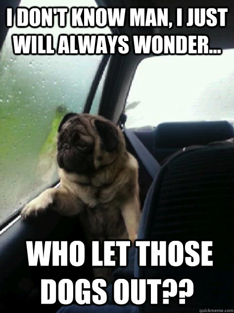 I don't know man, I just will always wonder...  Who let those dogs out?? - I don't know man, I just will always wonder...  Who let those dogs out??  Introspective Pug