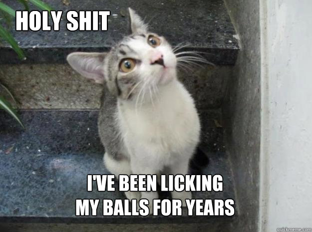 Holy shit I've been licking
my balls for years - Holy shit I've been licking
my balls for years  Sudden Clarity Cat