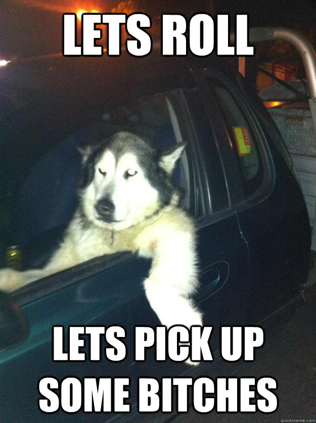 lets roll Lets pick up some bitches  Mean Dog