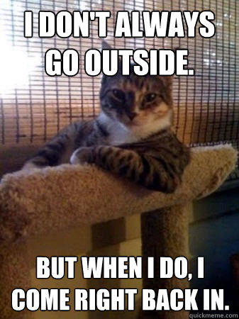 I don't always go outside. But when I do, I come right back in.   The Most Interesting Cat in the World