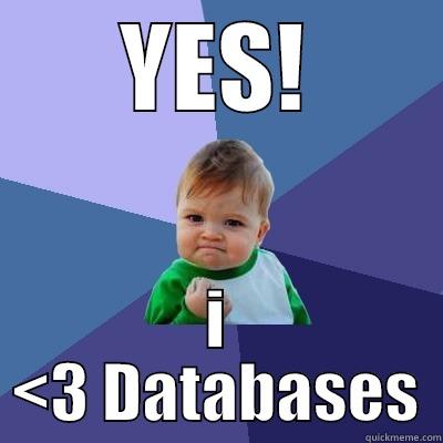 YES! I <3 DATABASES Success Kid