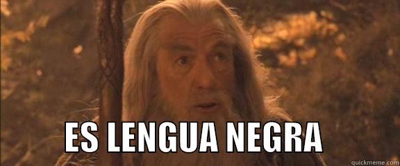            ES LENGUA NEGRA           Misc