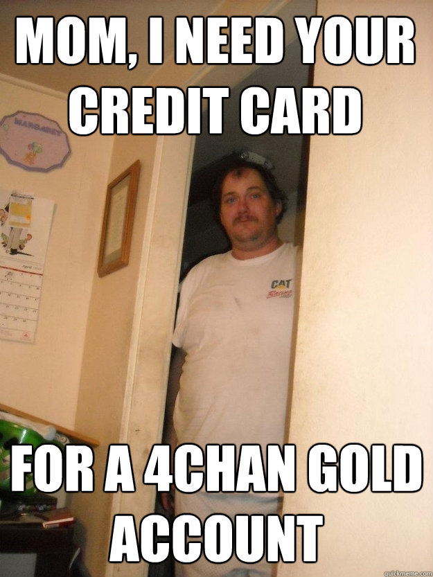 Mom, I need your credit card for a 4chan gold account - Mom, I need your credit card for a 4chan gold account  basement bubba