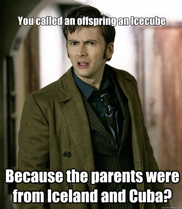 You called an offspring an Icecube Because the parents were from Iceland and Cuba?  Doctor Who