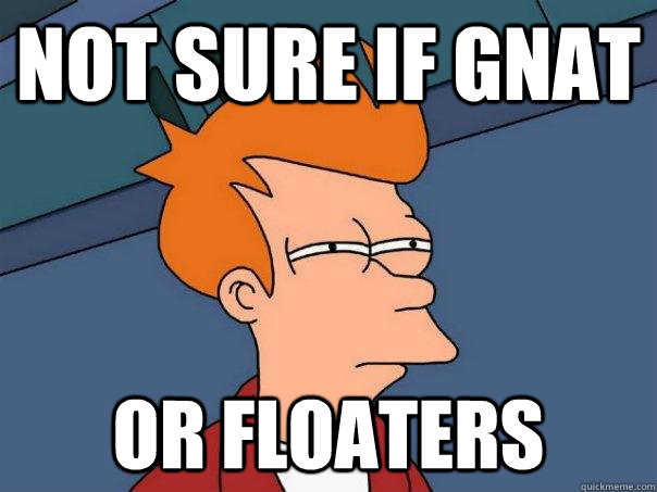 Not sure if gnat or floaters  Futurama Fry