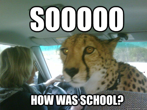 Sooooo How was school? - Sooooo How was school?  Chill Cheetah