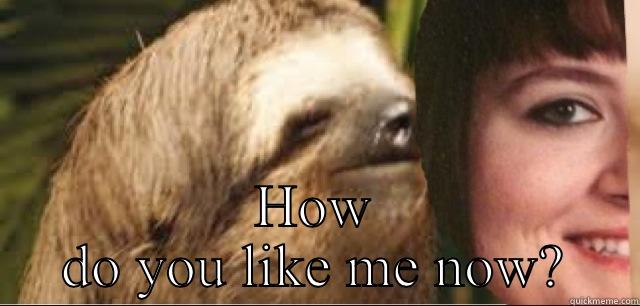 Nicki sloth -  HOW DO YOU LIKE ME NOW? Misc