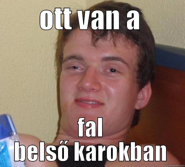 OTT VAN A FAL BELSŐ KAROKBAN 10 Guy