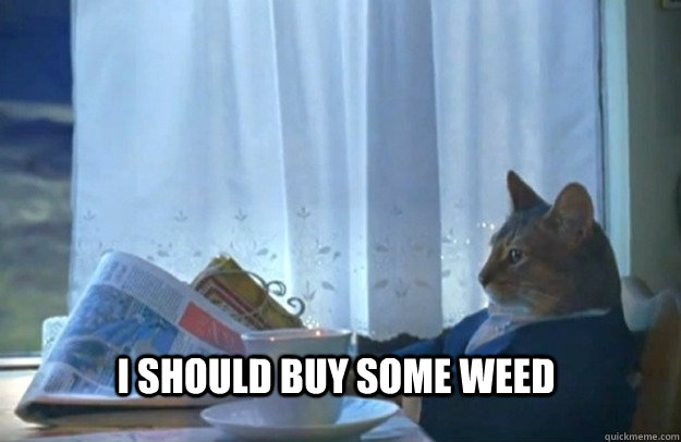 I should buy some weed  Sophisticated Cat