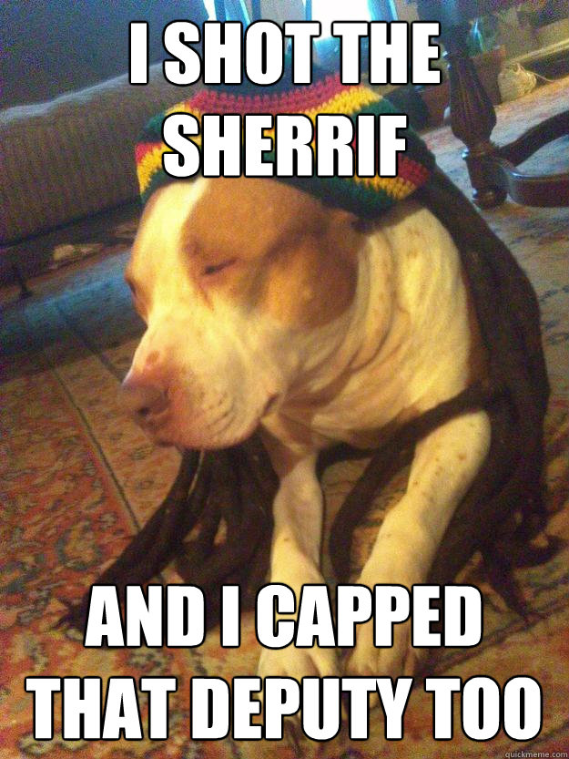 I shot the sherrif and i capped that deputy too  