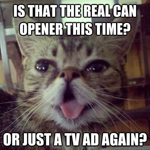 Is That the Real Can Opener This Time? Or Just a TV Ad Again? - Is That the Real Can Opener This Time? Or Just a TV Ad Again?  DerpCat