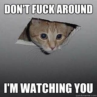 Don't fuck around I'm watching you  Ceiling Cat